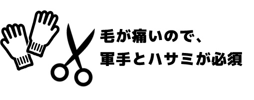 軍手とハサミ