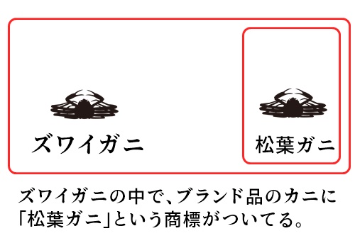 ズワイガニと松葉ガニの違い